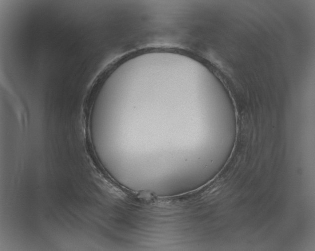 X0000073471408200608181319