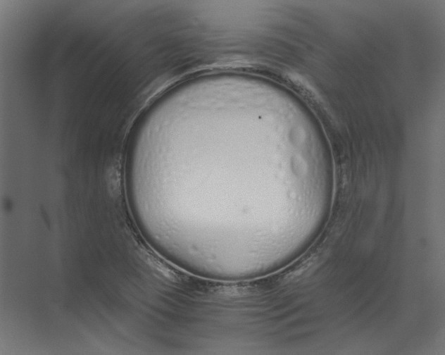 X0000073471409200608181319