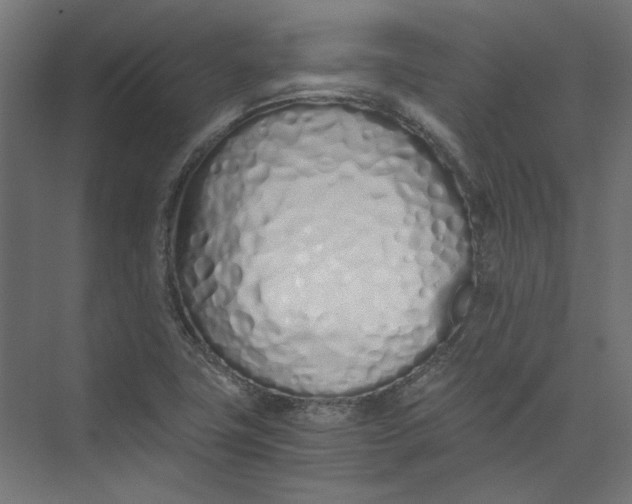 X0000073471411200608181319