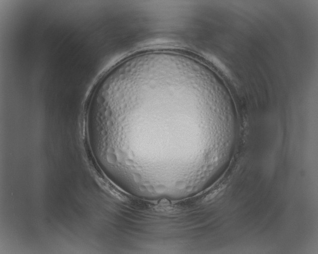 X0000073471413200608181319