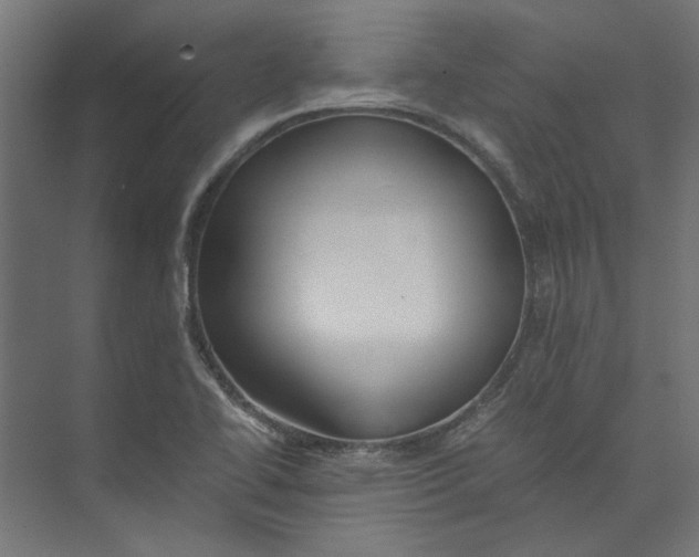 X0000073471414200608181319