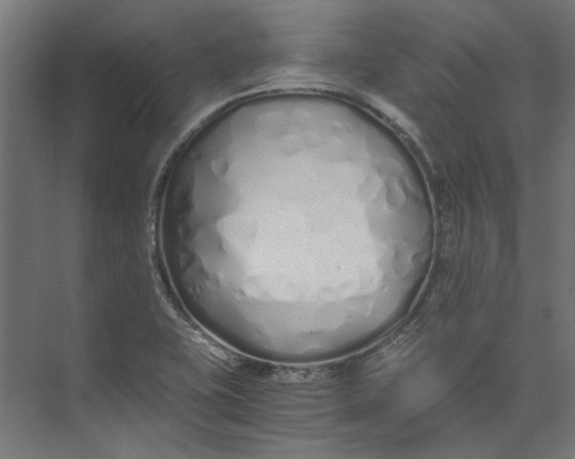 X0000073471415200608181319