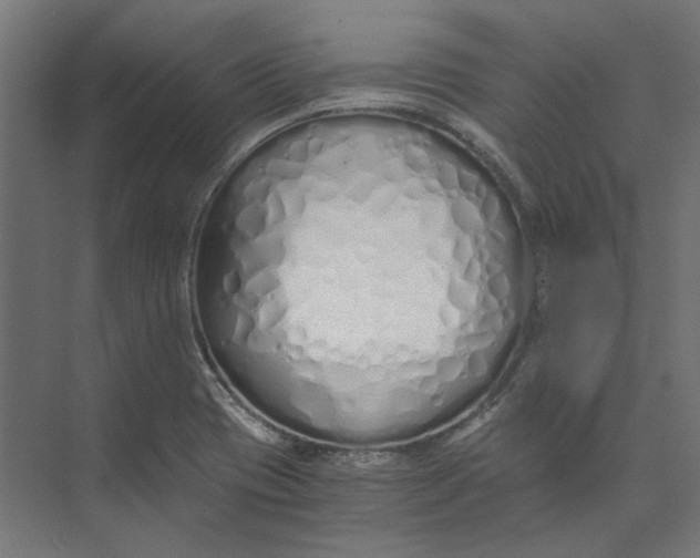 X0000073471417200608181319