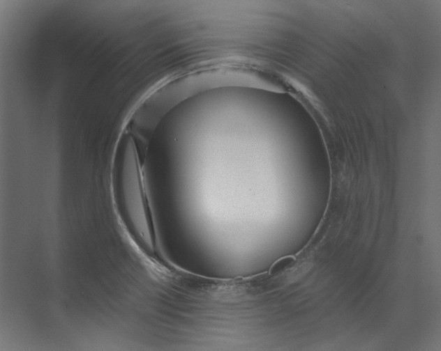 X0000073471418200608181319