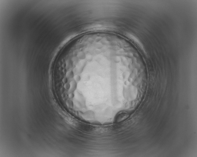 X0000073471419200608181319