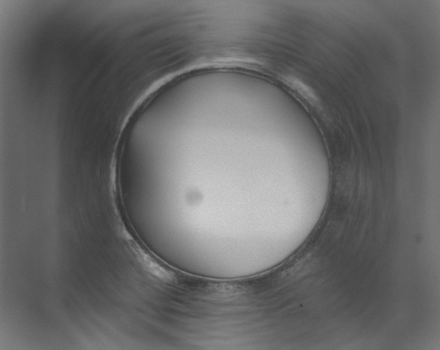 X0000073471420200608181319