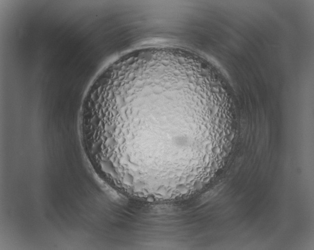 X0000073471421200608181319