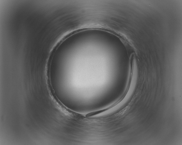 X0000073471422200608181319