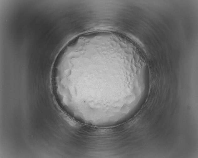 X0000073471423200608181319