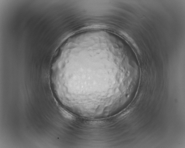 X0000073471425200608181319