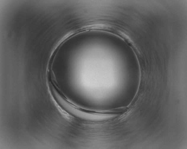 X0000073471426200608181319