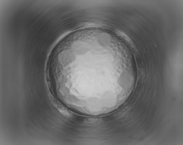 X0000073471427200608181319