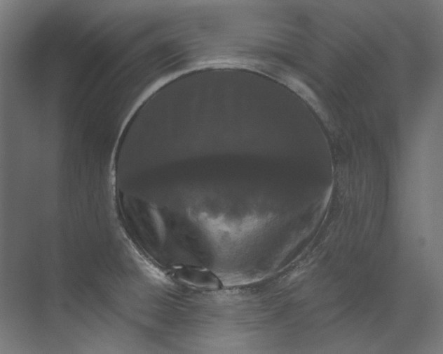 X0000073471428200608181319