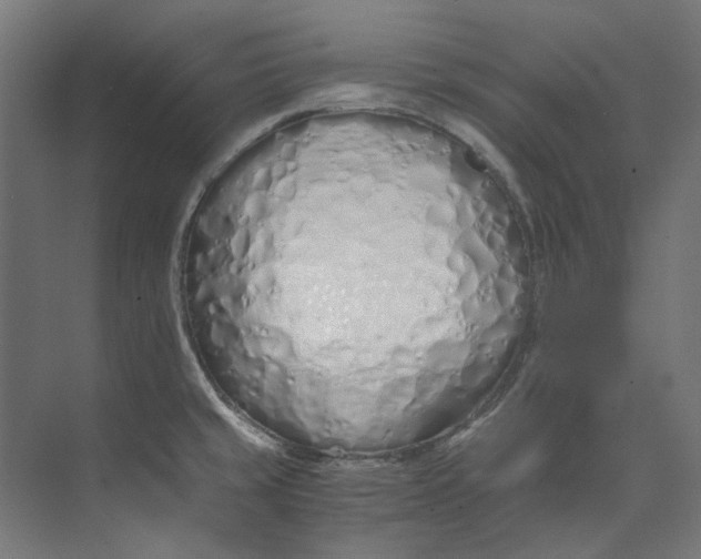 X0000073471429200608181319