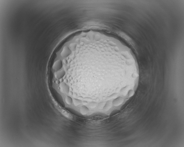 X0000073471431200608181319