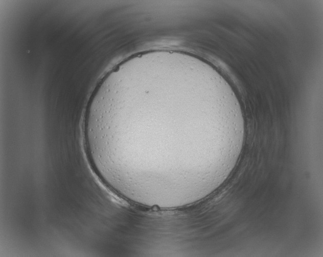 X0000073471432200608181319