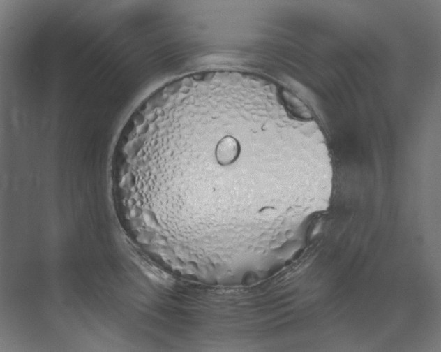 X0000073471435200608181319