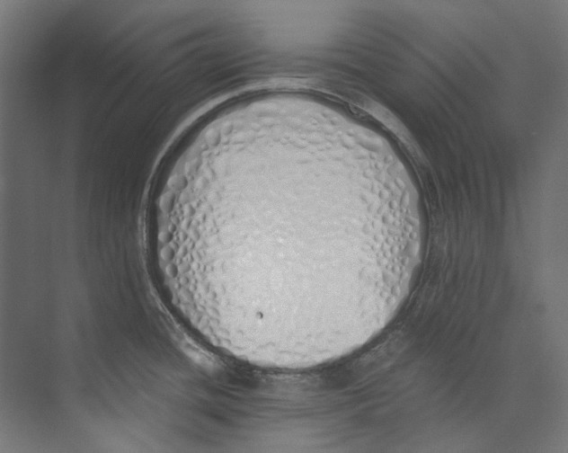 X0000073471436200608181319