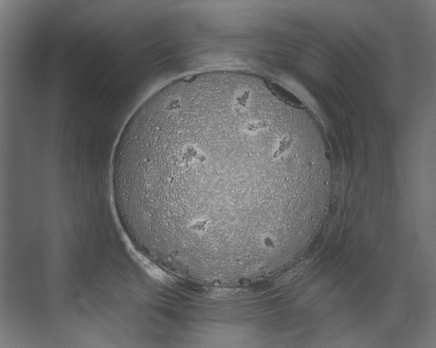 X0000073471439200608181320