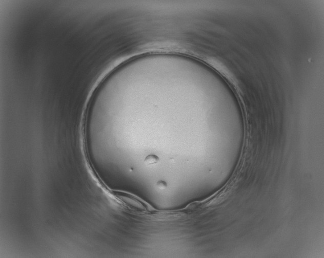 X0000073471440200608181320