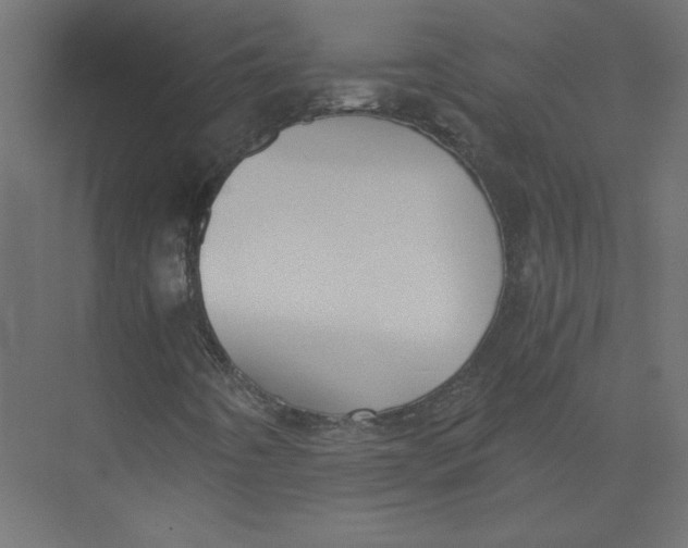 X0000073471442200608181319