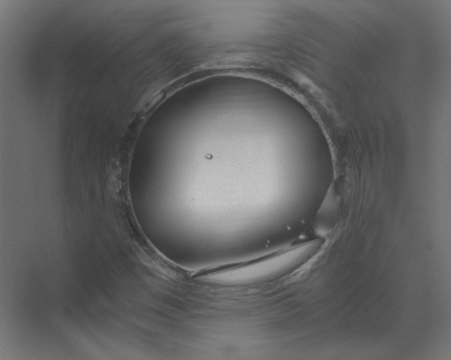 X0000073471449200608181319