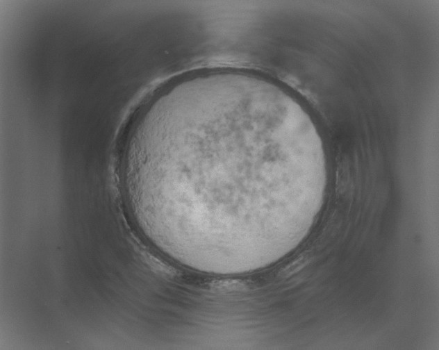 X0000073471454200608181319