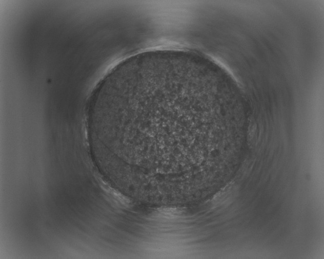 X0000073471455200608181318