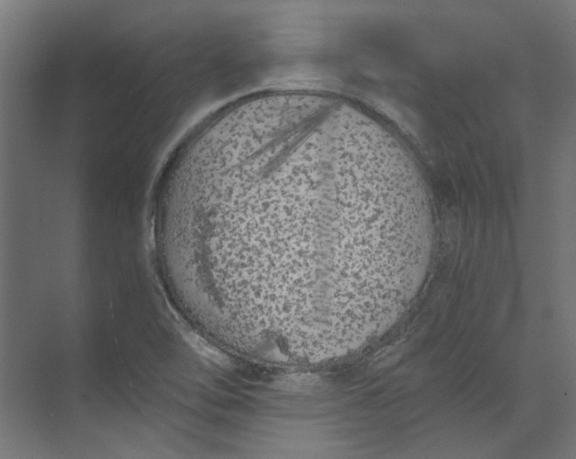 X0000073471462200608181318