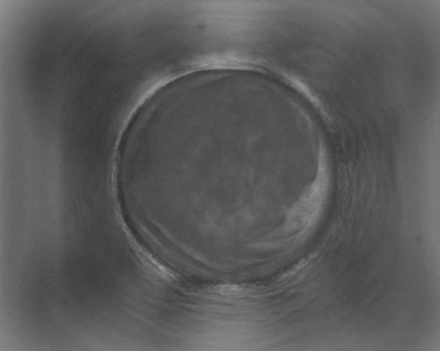 X0000073471463200608181318