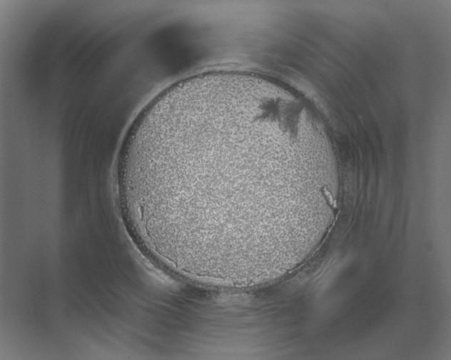 X0000073471466200608181318