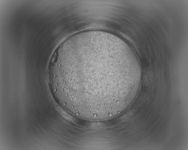 X0000073471467200608181318