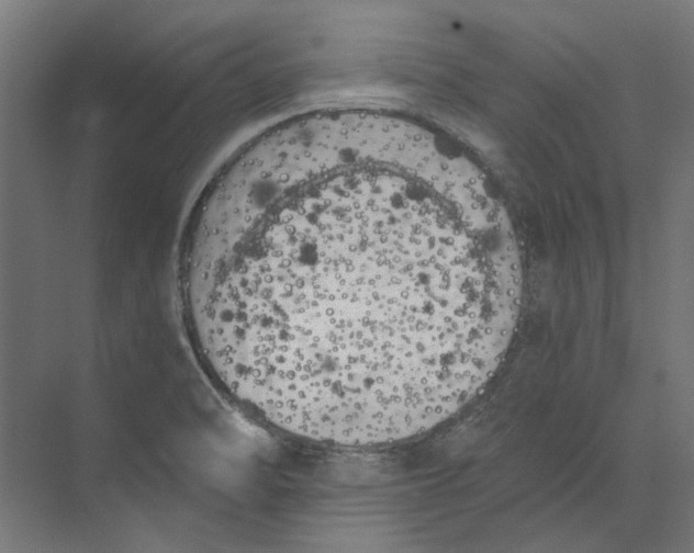 X0000073471470200608181318