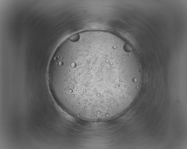 X0000073471471200608181318