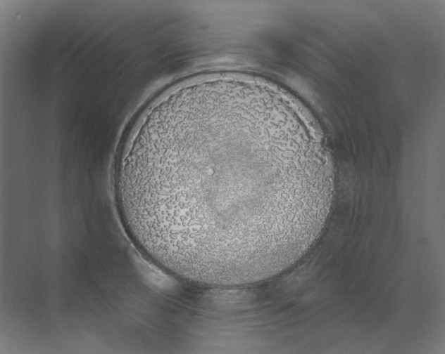 X0000073471474200608181318