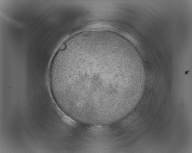 X0000073471478200608181318