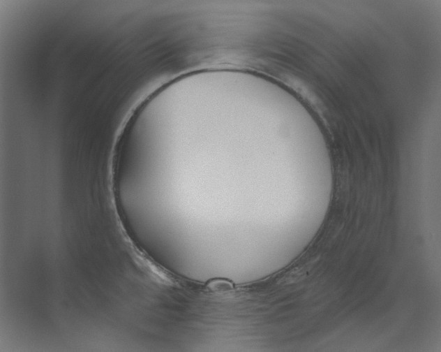 X0000073471480200608181318