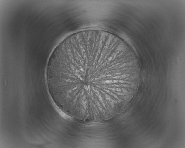 X0000073471482200608181318