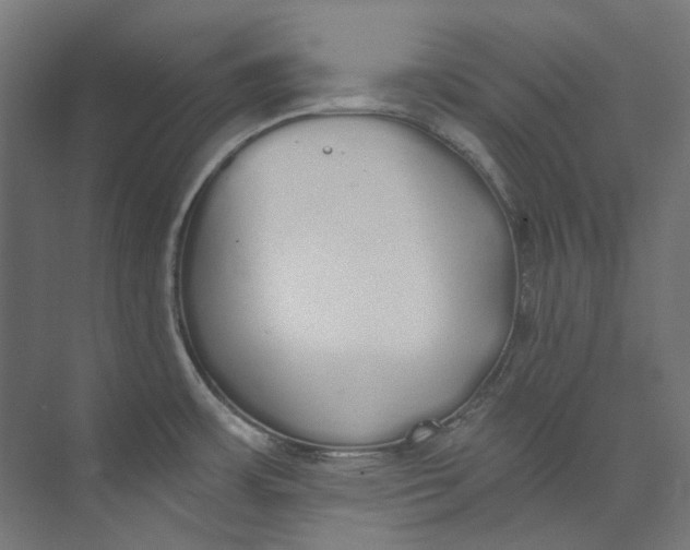 X0000073471483200608181318