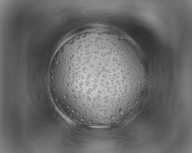 X0000073471487200608181318