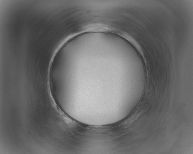 X0000073471488200608181318