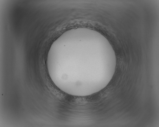 X0000073471489200608181317