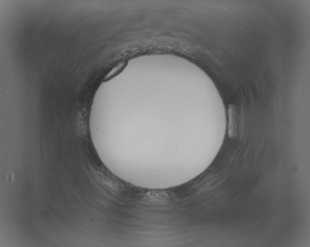 X0000073471491200608181317