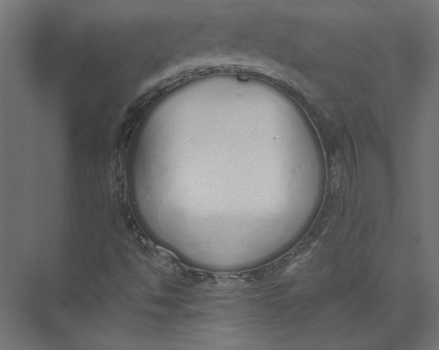 X0000073471494200608181317