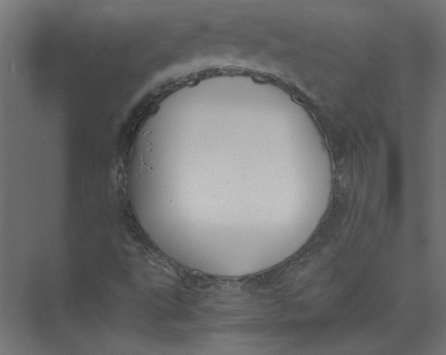 X0000073471495200608181317