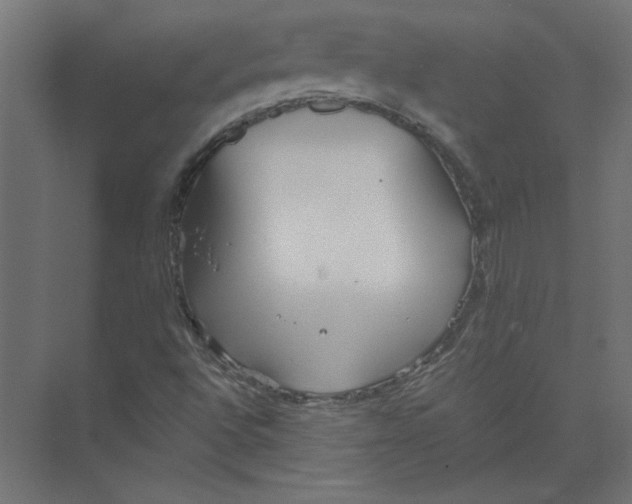 X0000073471496200608181317