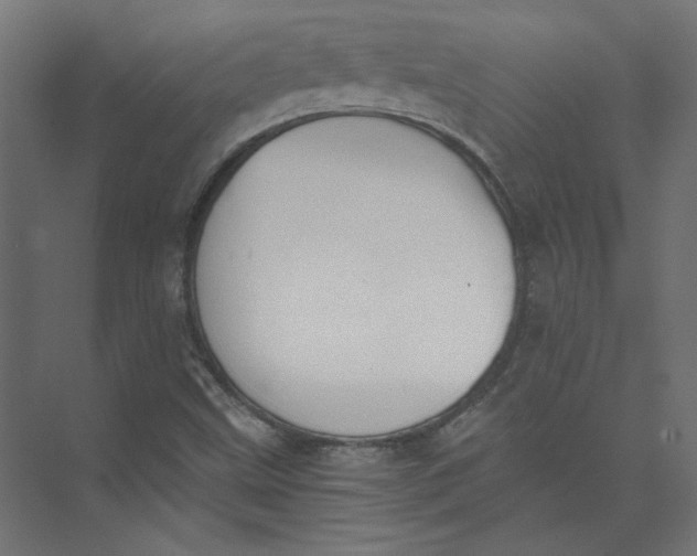 X0000073471499200608181317