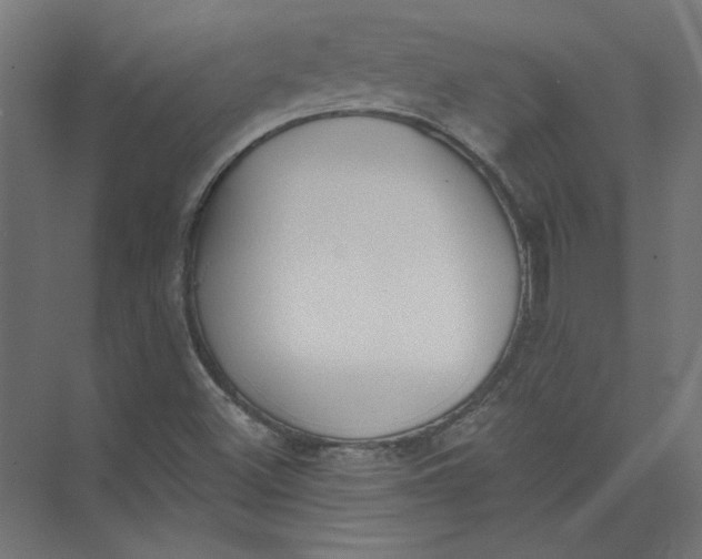 X0000073471500200608181317