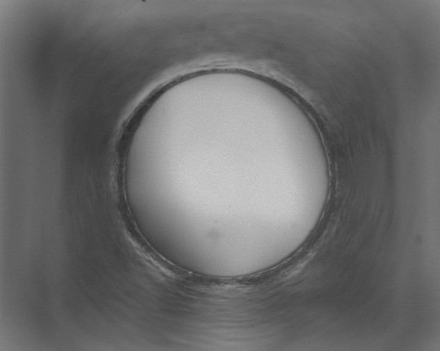 X0000073471502200608181317