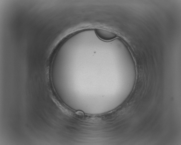 X0000073471503200608181317